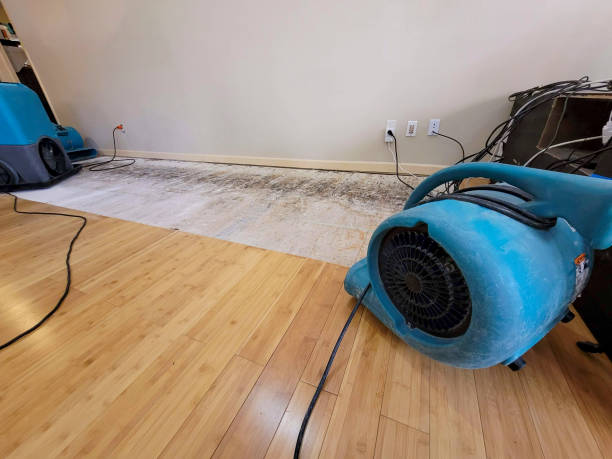 Professional Flood Damage Cleanup technician working in Peabody, KS